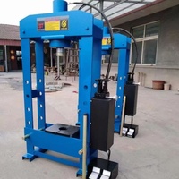 Presse hydraulique manuelle de 30 tonnes pour l'installation de roulements