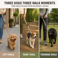 Nouvelle Saison : Laisse pour chien imprimée avec section élastique, anneaux de contrôle et mousqueton pivotant pour les accessoires de promenade quotidiens