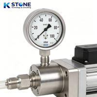 Manomètre à capsule WIKA standard EN 837-3 à faible entretien et longue durée de vie, 0-100 MBAR, haute précision, manomètre industriel
