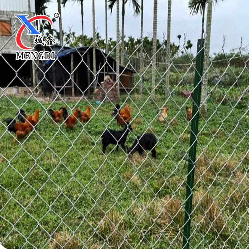 Cyclon pagar kawat galvanis, pagar Tautan rantai jala, pagar ayam murah