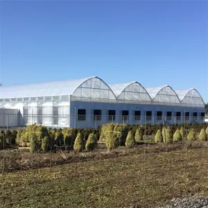 Light Dep Breathable Greenhouse 300 Sq Meters Wall Automatic Multispan Light Deprivation Greenhouse Blackout System