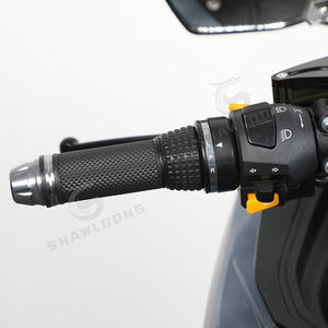 Motocyclettes électriques de sport de rue neuves de 8000 W 72 V homologuées DOT des États-Unis 2024 - Product Image 3