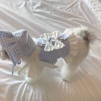 Spot INS Korea Miu Wind Princesse Jupe à bretelles à carreaux bleus pour chien et chat, taille moyenne, avec chapeau pour animal de compagnie en coton, lavable à la main et en machine