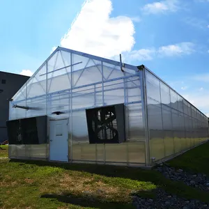现代芬洛聚碳酸酯玻璃养殖温室多跨度商用个人电脑平板温室预制温室整体系统
