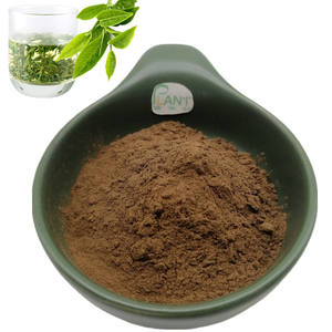 Pasokan ekstrak teh hijau alami <span class=keywords><strong>50</strong></span>% Egcg massal ekstrak daun teh hijau Epigallocatechin Gallate EGCG bubuk halus - Product Image 3