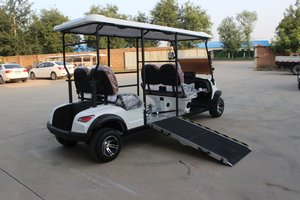 WELIFTRICH Cómodo 2 4 6 Asiento Carro de golf eléctrico Movilidad Scooter de cuatro ruedas <span class=keywords><strong>para</strong></span> ancianos y <span class=keywords><strong>discapacitados</strong></span> - Product Image 6