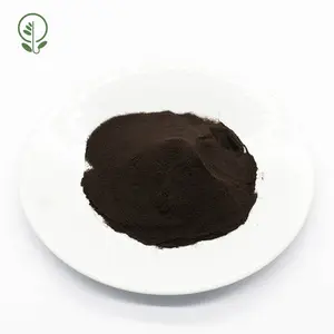 Polysaccharides Organic Chaga Mushroom Extract Powder Beta Glucan 20%