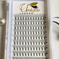Vente chaude Premade Volume Ventilateurs 7D 8D 9D 10D Coréen PBT Fibre Cils Magnifique Mega Volume Lashes