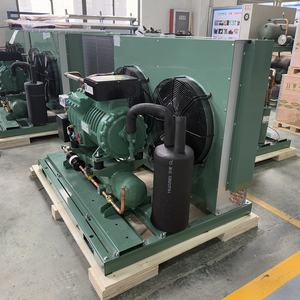 Ruixue Nhà Máy đi bộ trong Cooler lạnh đơn vị ym70 Scroll máy nén 3 ~ 15HP ngưng tụ đơn vị - Product Image 6