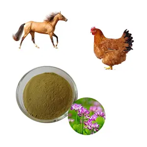 Best price Alfalfa extract powder for Animal feed Alfalfa hay for horses feed