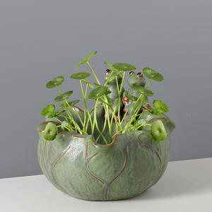 กบน่ารักคู่หนึ่ง, กระถางดอกไม้เซรามิก, เหรียญทองแดง, กระถางหญ้านาร์ซิสซัส, ดอกบัว, ชาม, ดอกบัว succulents - Product Image 3