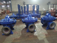 Pompe centrifuge à boîtier divisé à double étage EBARA pour centrale électrique