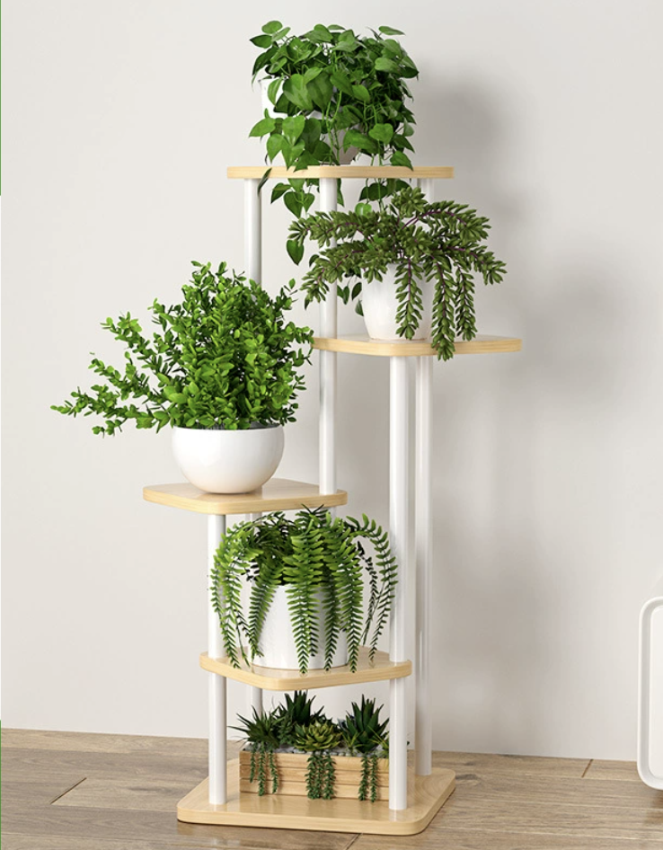 Cadre blanc + noyer clair