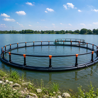 Piège à poulpes en acier inoxydable Genghai, best-seller, cage de pêche de 30 cm de diamètre pour l'aquaculture en eau de mer