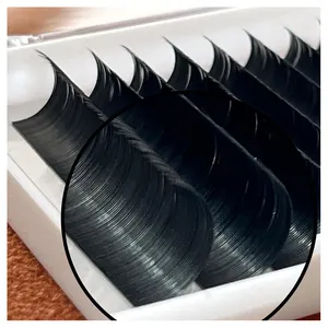 New Arrival Matte Black 0.03 0.07MM Cashmere Lashes Trays Volume Eyelashes Extension