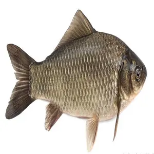 Wholesale bream feed For Every Animal Species 