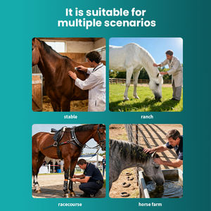 <span class=keywords><strong>Machine</strong></span> à ultrasons thérapeutique avec technologie Ultrawave Dispositif antidouleur certifié CE pour la physiothérapie équine et canine - Product Image 5