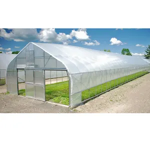 günstiger gemüseanbau polytunnel landwirtschaftliche gewächshäuser mit hydroponischem system