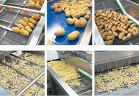 Automatische multifunctionele voedselveilige roestvrijstalen fruit- en groentesapcentrifuge voor industrieel gebruik, geschikt voor de verwerking van gember.