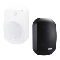Paire d'enceintes murales étanches pour intérieur et extérieur avec TWS 5.1 et amplificateur de classe D pour enceinte murale audio Bluetooth