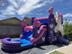 Nueva marca Nova, gran oferta, <span class=keywords><strong>casa</strong></span> de rebote inflable colorida para exteriores, tobogán de agua, Castillo de salto, modelo para niños - Product Image 4