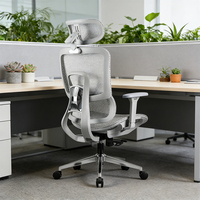 Chaise de bureau ergonomique à dossier haut en maille, accoudoirs en PU réglables 4D, vérin à gaz TUV, pivotante, pour ordinateur