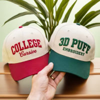 Casquettes de baseball unisexes classiques personnalisées avec logo, en polyester et coton de haute qualité, bicolores uniques, pour l'extérieur, à 5 panneaux, vente en gros, chapeaux de sport