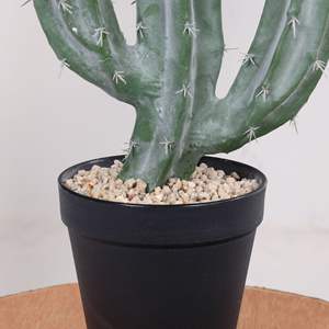 Plantes artificielles en plastique, cactus d'intérieur/extérieur, haute simulation, décoratives, fausses plantes vertes tropicales, paysage désertique - Product Image 3