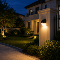 Lampe murale solaire LED OEM 220lm à charge rapide 6H avec capteur PIR 120 degrés pour la décoration de la cour, de la clôture, du chemin et de l'entrée, de LEAD OPTO