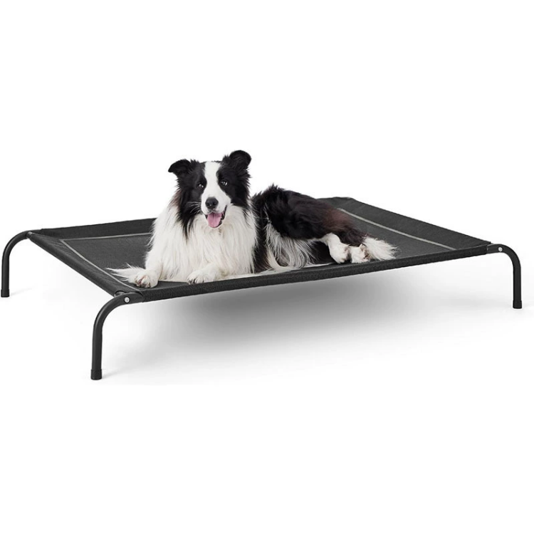 Best Selling Elevated Metal Dog Beds Durable Comfortable Solutions