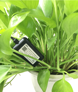 CDT-22B умный сельскохозяйственный датчик влажности и температуры почвы для управления фруктовым садом - Product Image 3