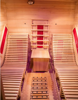 Sauna intérieur en bois pour 2 personnes inclinable de luxe au design européen Offre Spéciale