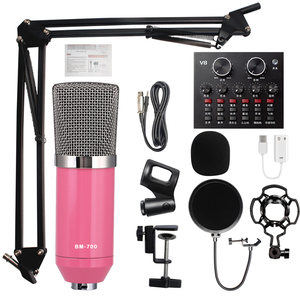 Equipo de <span class=keywords><strong>audio</strong></span> profesional de alta calidad BMG, equipo de grabación de <span class=keywords><strong>audio</strong></span> adecuado para micrófonos KTV - Product Image 6