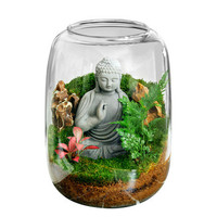Vente en gros de terrariums de plantes à air vides en verre transparent de qualité supérieure grand bol à bonbons écologique vase de plantes en verre de cactus succulent