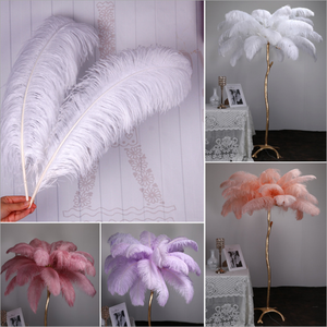 Plumes d'autruche naturelles, <span class=keywords><strong>panache</strong></span> de plumes d'autruche pour décoration de centre de table de fête de mariage (blanc, 25-30cm) - Product Image 3