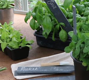 Étiquettes en pierre naturelle noire <span class=keywords><strong>10</strong></span> marqueurs <span class=keywords><strong>d</strong></span>'étiquettes de plantes et de fleurs en <span class=keywords><strong>ardoise</strong></span> avec crayon à craie pour <span class=keywords><strong>d</strong></span>écoration de jardin - Product Image 5