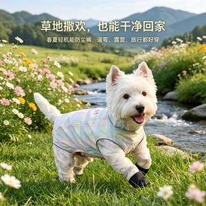 Pantalones Impermeables y Ligeros para Perros Golden Pet, con Protección Contra el Polvo, para Verano, con Compatibilidad con Correa, Diseño a Cuadros Verde y Azul - Product Image 5