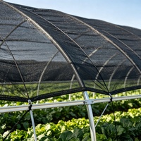 Zwarte HDPE warp gebreide verdikte heavy-duty winddichte anti-verouderings buitenkweekkas schaduwnet voor groente- en fruitteelt