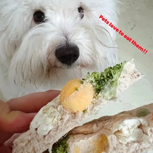 Fabrik Großhandel Haustier Gefrier getrocknete Snacks Kaninchen Pizza Leckereien Ziegenmilch Obst Meeres früchte Paste tchen Für Katzen Hunde Fett Haar Kiemen - Product Image 4