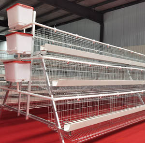 Nouvelles cages à poulets automatiques de type A à 3 ou 4 niveaux, cages à poules pondeuses multifonctionnelles, garantie de 5 ans - Product Image 3