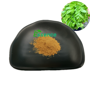 天然<span class=keywords><strong>Cyclocarya</strong></span> <span class=keywords><strong>Paliurus</strong></span>エキス粉末<span class=keywords><strong>Cyclocarya</strong></span> <span class=keywords><strong>Paliurus</strong></span>葉エキス10:1 - Product Image 1