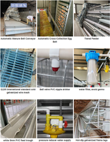 Cage à poules pondeuses automatique de type A, capacité personnalisable pour élevage avicole commercial