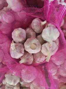 Ail frais de Chine 40mm 50mm 60mm Allium Sativum Qualité Premium Exportation en Gros Fournisseur Ajo Alho Ails - Product Image 5