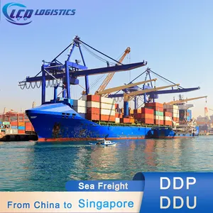 the cheapest lcl shipping rates sea freight forwarder from shenzhen guangzhou qingdao shanghai hong kong china to singapore