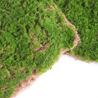 Mousse artificielle de haute qualité pour décoration de paysage