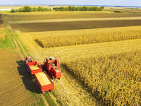 Nouvelle Moissonneuse-batteuse automatique multifonctionnelle à transmission par engrenages, largeur de travail 3800 mm, pour la récolte des céréales