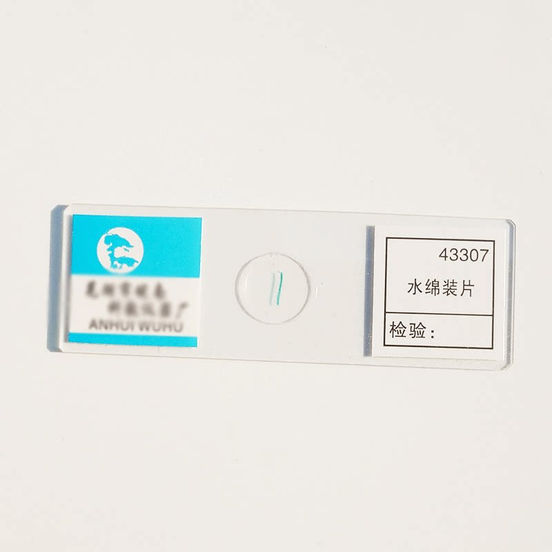 43307 hilo dental de agua