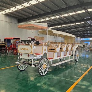 Carroza Eléctrica Turística Certificada por CE de ZOWN, Operada por Batería, de 4 Ruedas, de Lujo, para Bodas, Eventos, Recorridos Turísticos en Resorts, Servicio 2 - Product Image 6