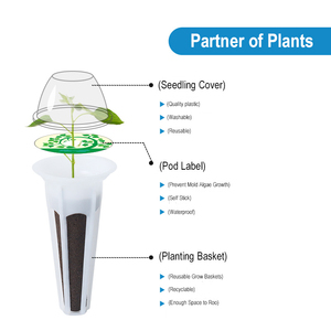 Dễ dàng di chuyển nhà hệ thống thủy canh tự tưới nước microgreens thiết bị nhà bếp tái sử dụng trong nhà <span class=keywords><strong>Hydro</strong></span> microgreen phát triển Kit - Product Image 6
