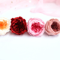 TC vente en gros 4-5cm Austin Rose fleur préservée 8 pièces boîte haute qualité têtes de fleurs éternelles bricolage matériel pour cadeau de saint valentin